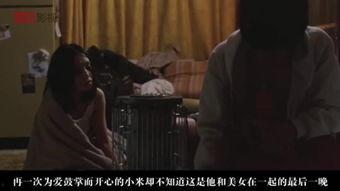 理伦在线观看,探索知识海洋的便捷之旅