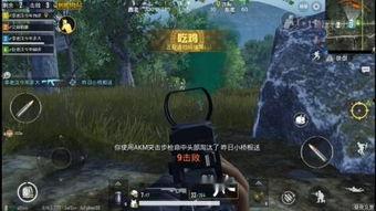 永恒在线观看,揭秘虚拟世界的无尽魅力