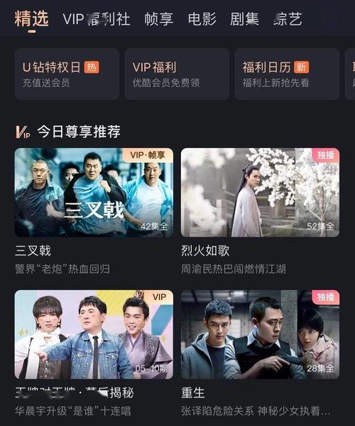 网站视频在线观看,网站视频在线观看新体验